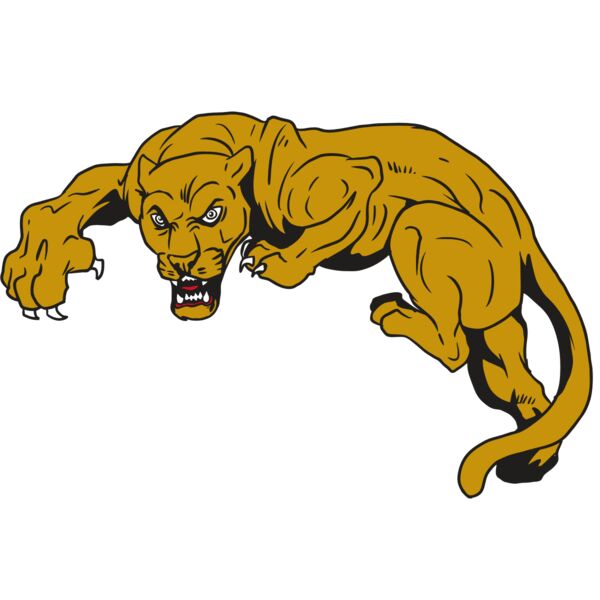 AR10 PANTHER 02 RQC Thumbnail